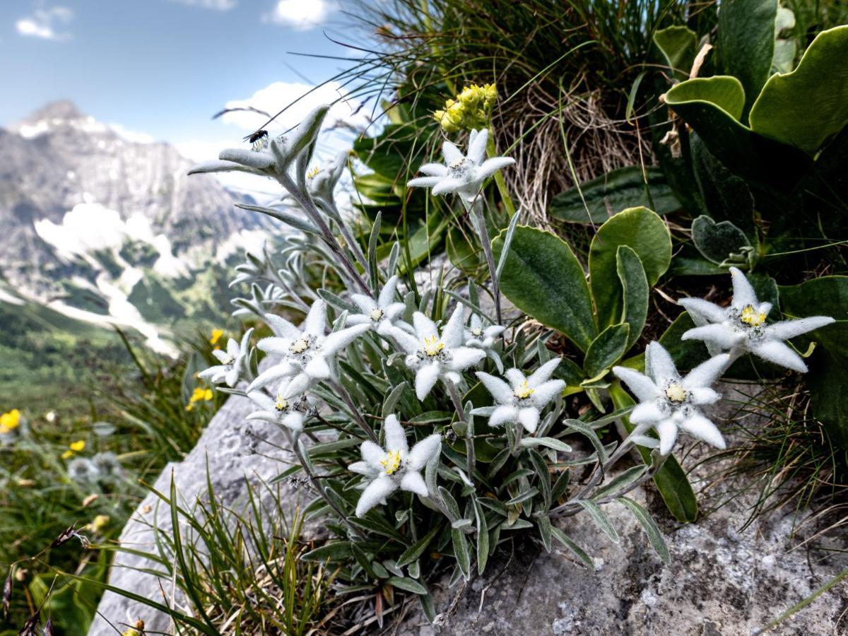 Das Naturhotel Die Eng Хинтеррисс Экстерьер фото